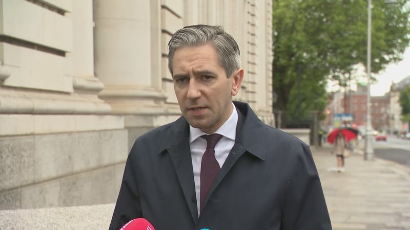 Simon Harris said he hopes other European countries will follow Ireland's example and move to adopt similar legislation