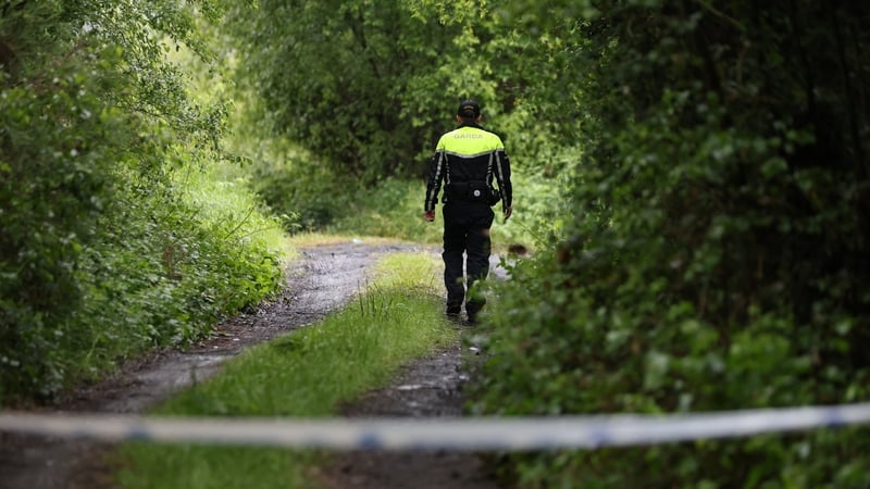 Gardaí say the results of the searches are not being released for operational reasons