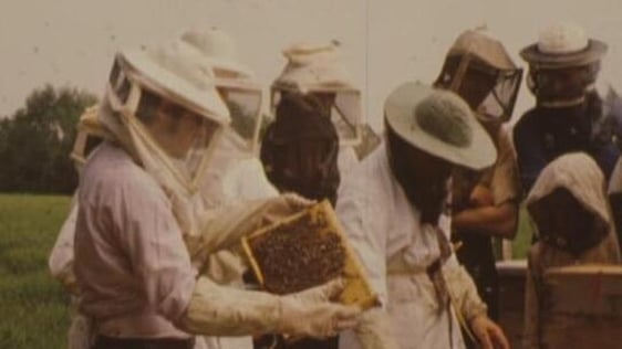 Beekeepers in Wexford (1975)