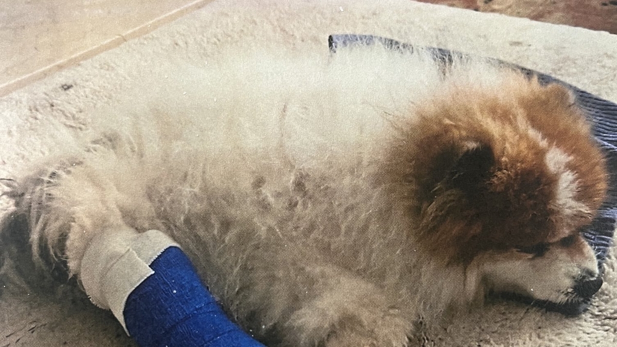 Liveline Tuesday 27 May 2025