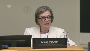 Arts Council 'greatly regrets' €6.7m IT failure, PAC hears