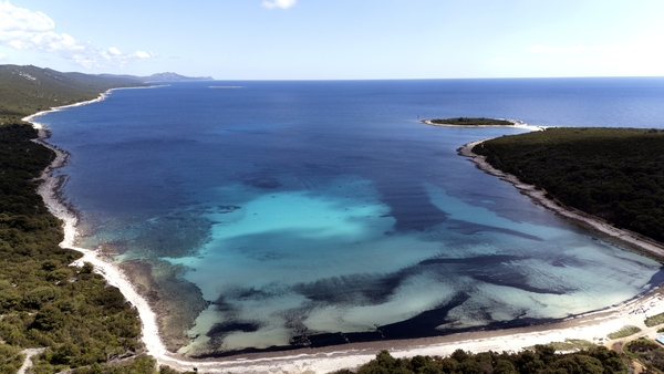 Fields of Posidonia Oceanica seagrass in the water at Sakarun Beach