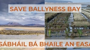 Seán Ó Conacháin ón ghrúpa Sábhail Bá Bhaile an Easa. show image