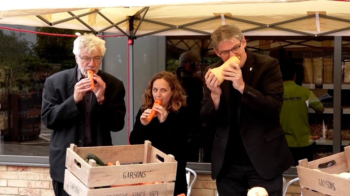 The London Vegetable Orchestra