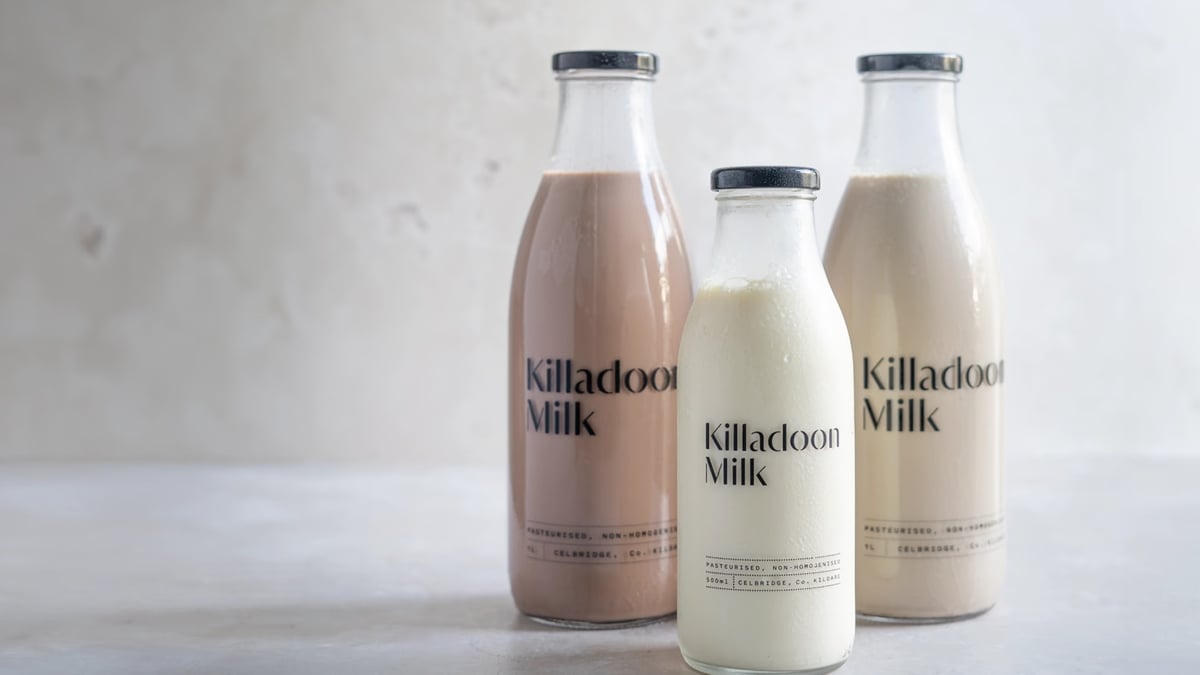 Killadoon Milk's first trip to Bloom