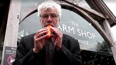 London's Vegetable Orchestra - Mozart played on carrots and courgettes