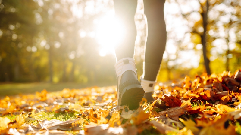 One group in the study of almost 900 patients was given structured exercise sessions, including walking (Stock image)