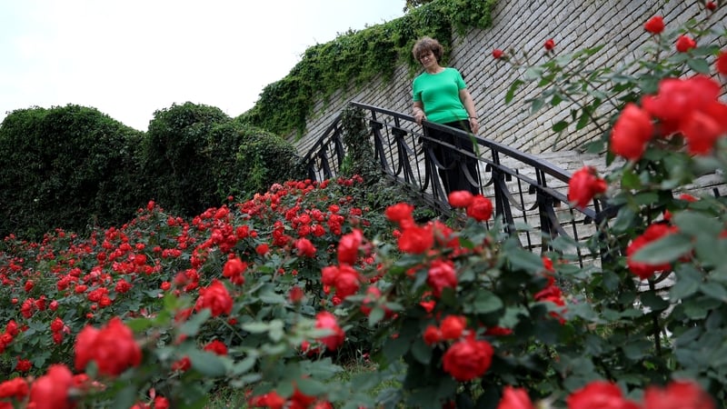 Ariana Nikolla is pictured in a public rose garden in Permet, which is around 250km southwest of the capital Tirana