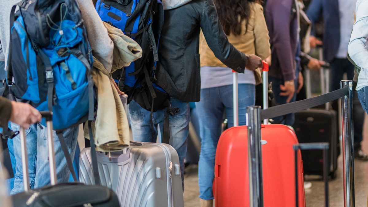 Tara Povey - Luggage Rules