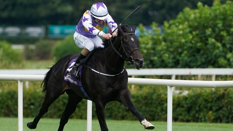 Green Impact has won all three of his career outings at Leopardstown