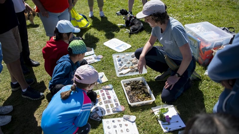 Liane Costello, Clean Coasts Biodiversity Officer, explores the shore with some new citizen scientists. 
Photo: Kevin McFeely/ Coalesce