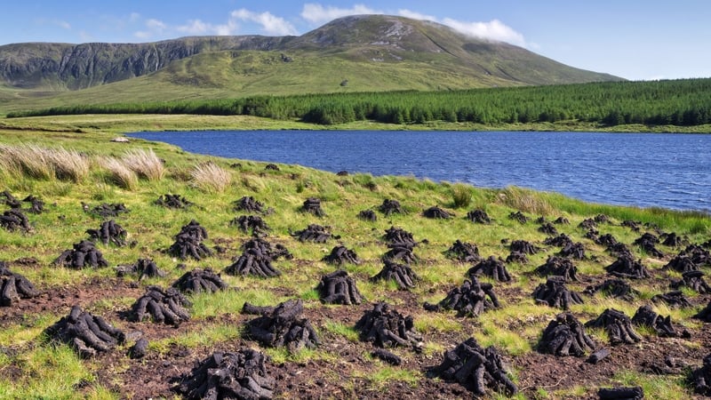 Stacked peat near Glencolumbkillle, Co Donegal. The EU is pushing Ireland to protect its bogs (File image)
