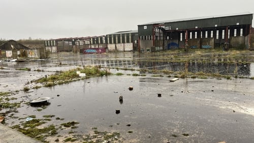 Sentencing the defendants, the judge said they had acted deliberately and had been 'entirely motivated by financial gain'