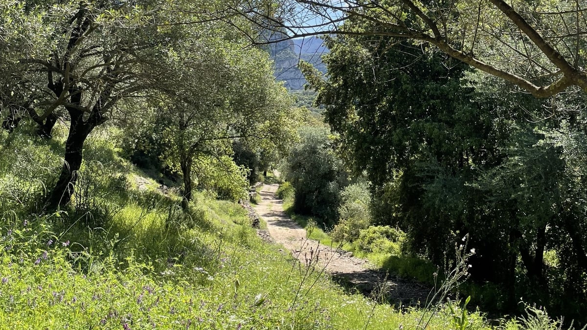 Ambient Orbit Monday 9 June 2025