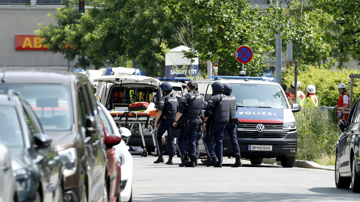Ten dead in Austria school attack, says Graz mayor
