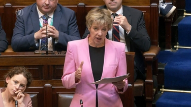 Government policies are 'sowing fear among renters', says Bacik