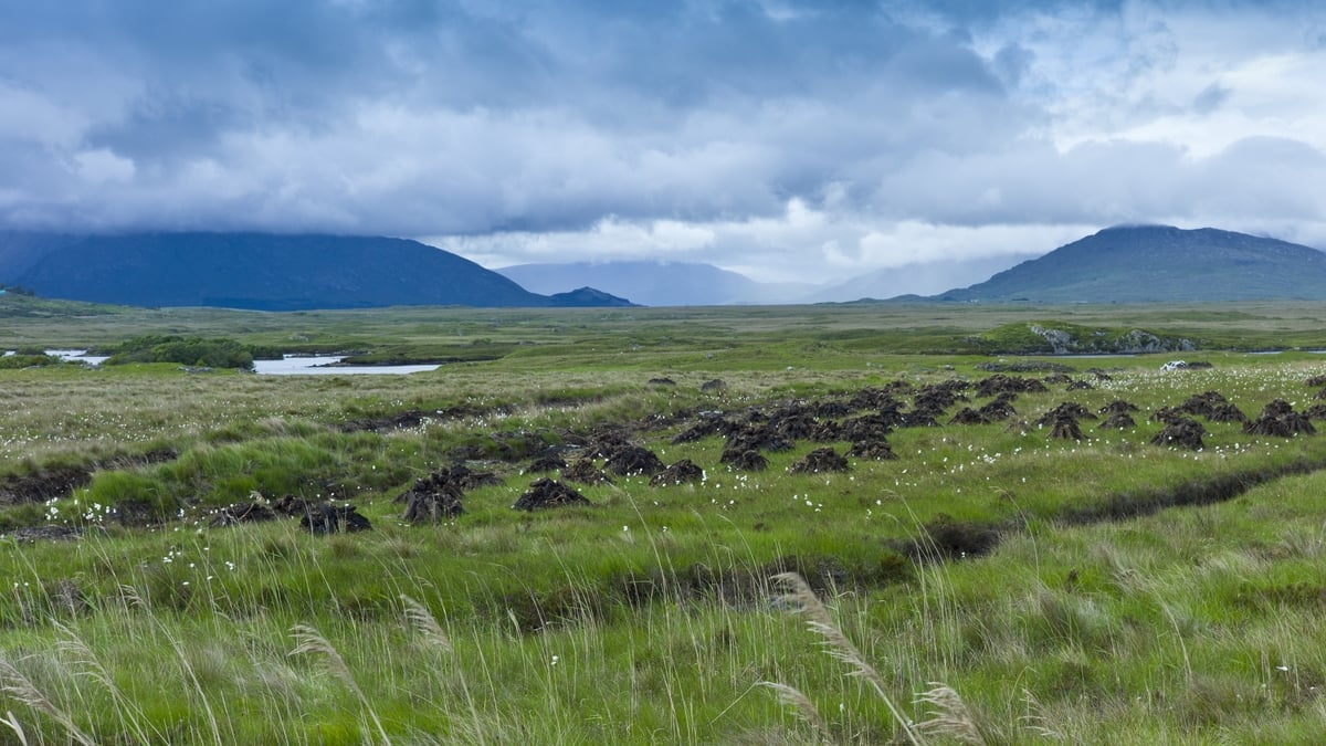 Countrywide Bog Special