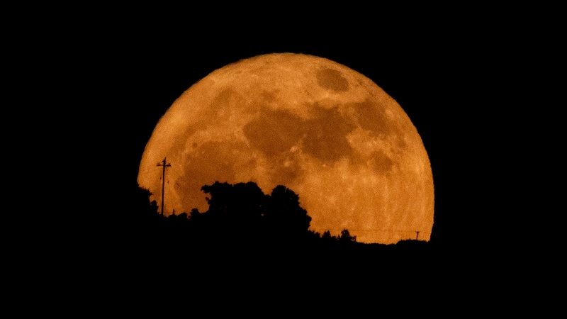 CHONGQING, CHINA - JUNE 11: A full moon, known as the Strawberry Moon, appears low on the horizon behind the silhouetted outlines of distant hilltop trees and utility poles on June 11, 2025 in Chongqing, China. Strawberry Moon Rises Tonight as the Lowest