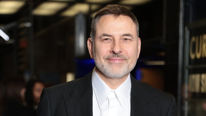 David Walliams reportedly gave Nazi salutes while filming BBC's Would I Lie To You?