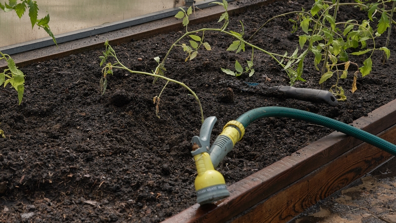 A water conservation order prohibits the use of garden hosepipes