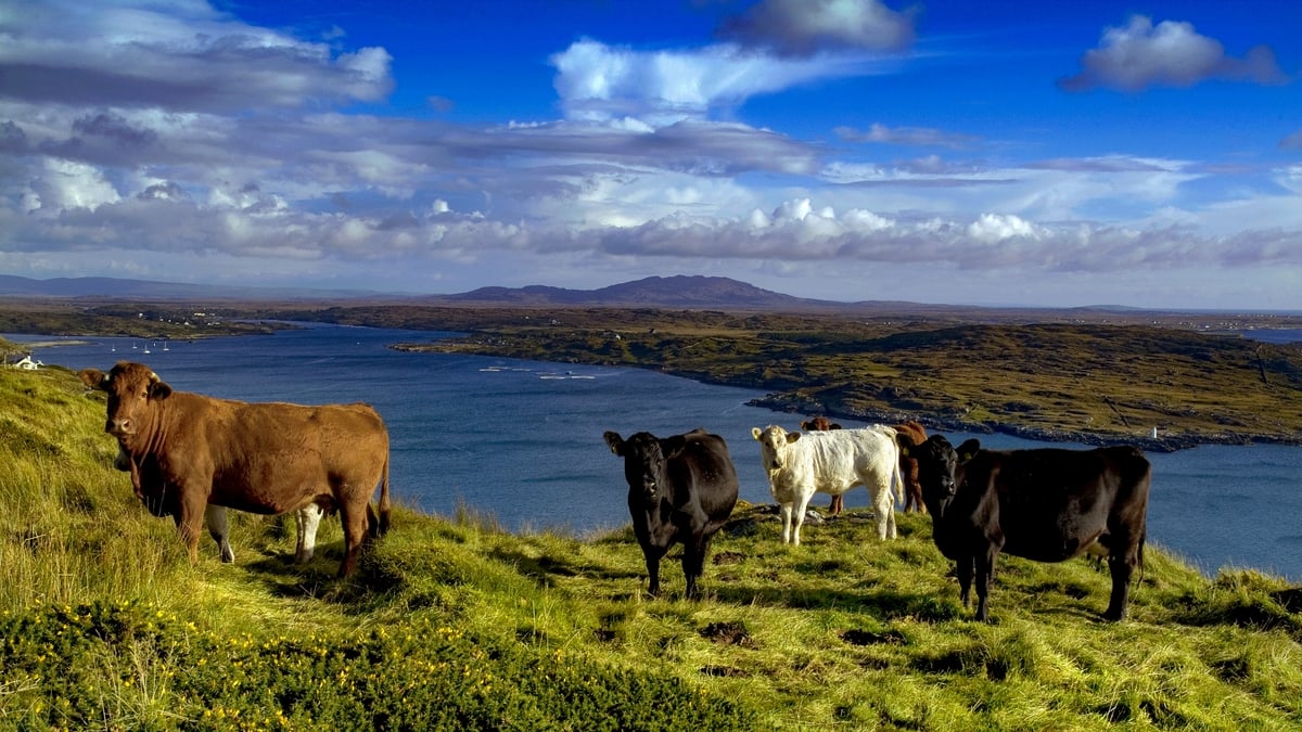 How to reduce farming emissions