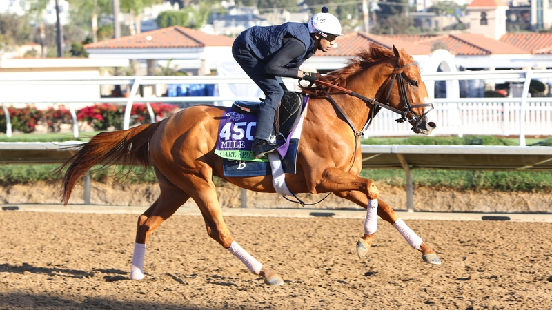 Carl Spackler was sixth in last October's Breeders Cup Mile