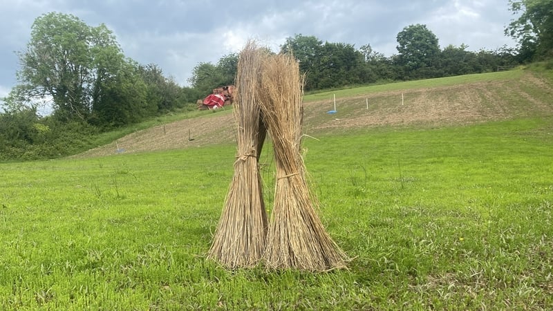 Flax fibres, traditionally used to make linen clothing, can now be used in furniture