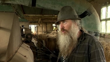 ‘It’s sort of in our DNA’ - efforts to revive flax industry