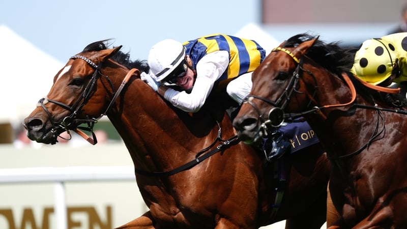 Docklands (far side) form figures on the straight course at Ascot now read 1132221