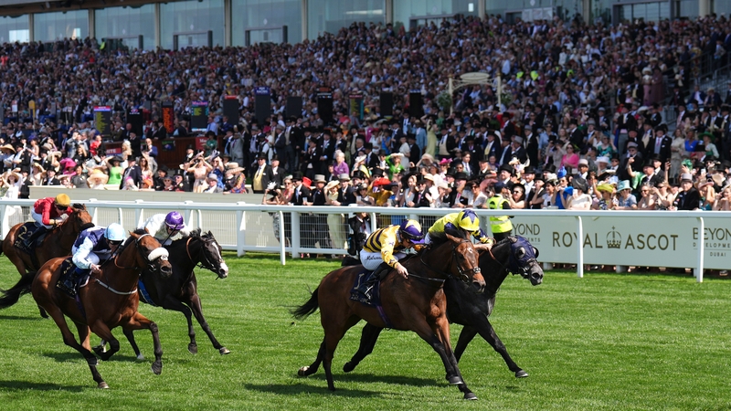 American Affair (near side) holds off 
Frost At Dawn in the Group One King Charles III Stakes