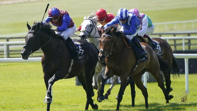 Los Angeles and Anmaat served up a thrilling finish to the Tattersalls Gold Cup at the Curragh last month