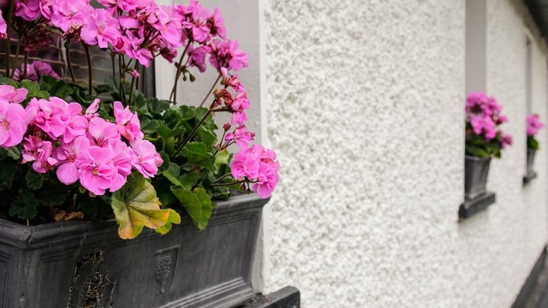 Naas also took home the gong in the Large Urban Centre category.