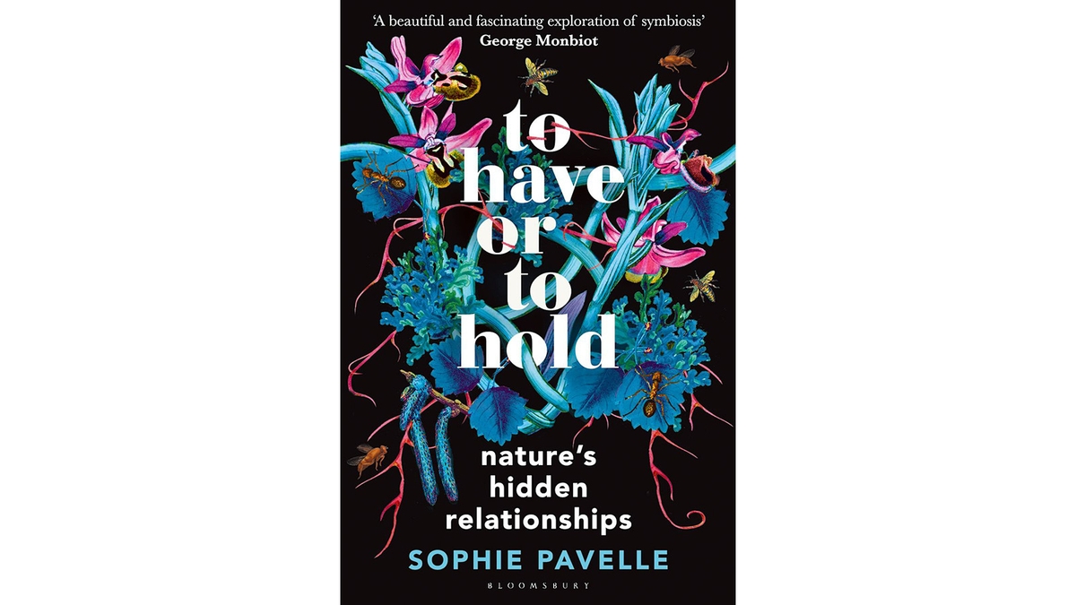 What can nature tell us about living together?