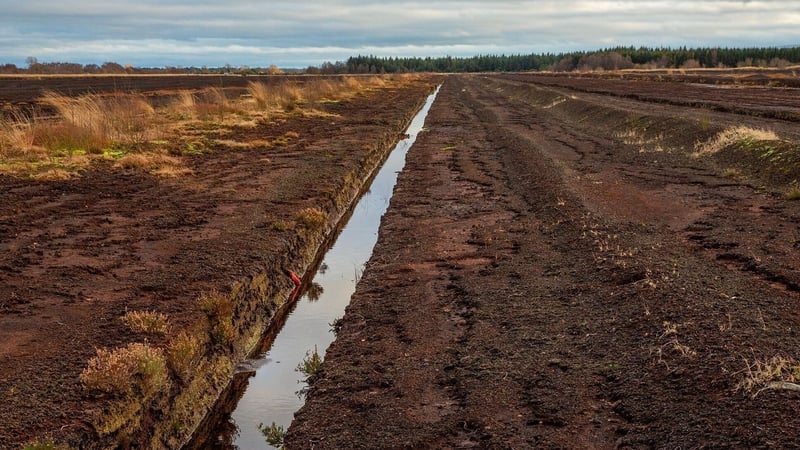 The project was developed in collaboration with communities across Offaly, Louth, and Meath