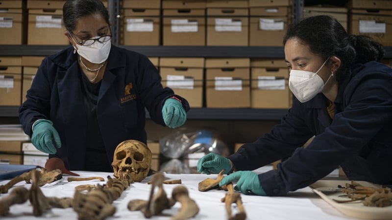 Experts work on remains found during an excavation to install a gas pipeline in Lima, Peru