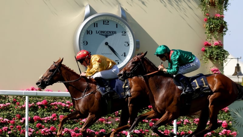 Gary Carroll riding Cercene (yellow silks) holding off Zarigana in the day four feature