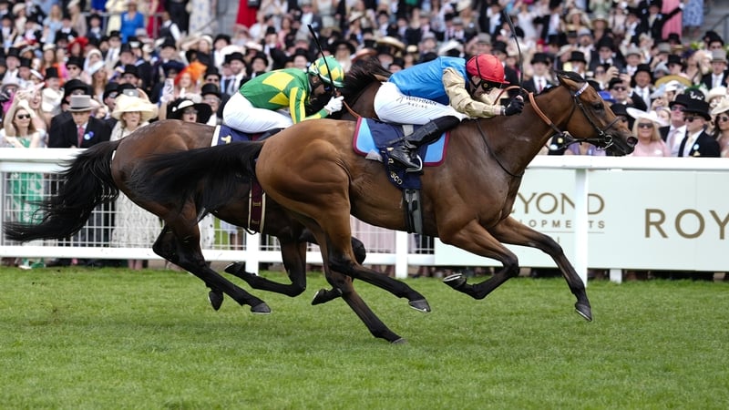 Lazzat heads the betting for Saturday's feature at Haydock