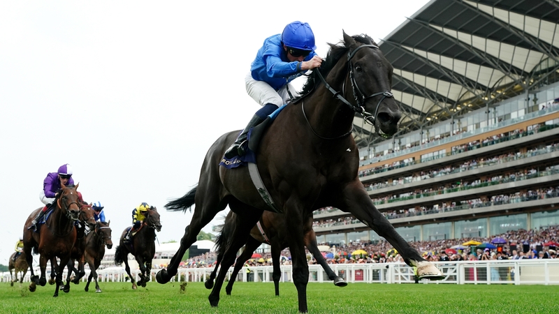 Rebel's Romance has racked up 18wins in his 26-race career