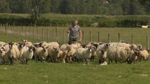 Breandán Seoige, ó Chumann Feirmeoirí Chnoc agus Natúra na hÉireann  show image
