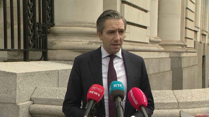 Simon Harris said he hoped the action being taken by Ireland will inspire other countries to do the same