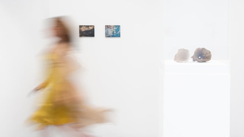 Siobhan McDonald's artworks are being shown at the UN Ocean Conference in Nice.