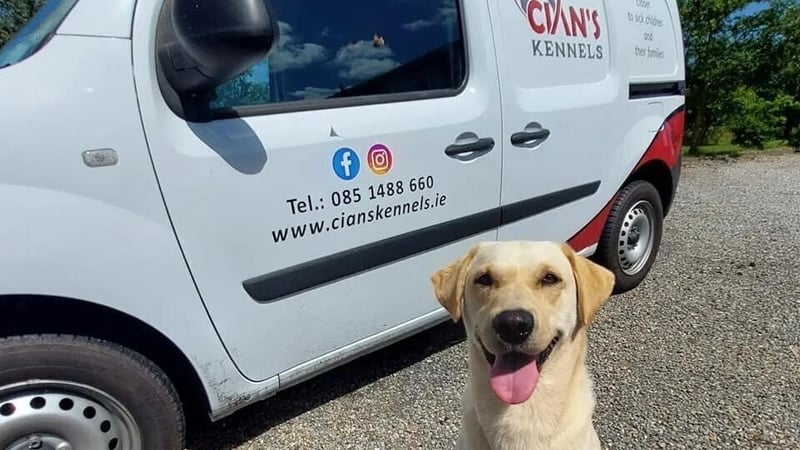 Cian Neary's dog Cooper - the charity was set up to reunite children in hospital with their pets