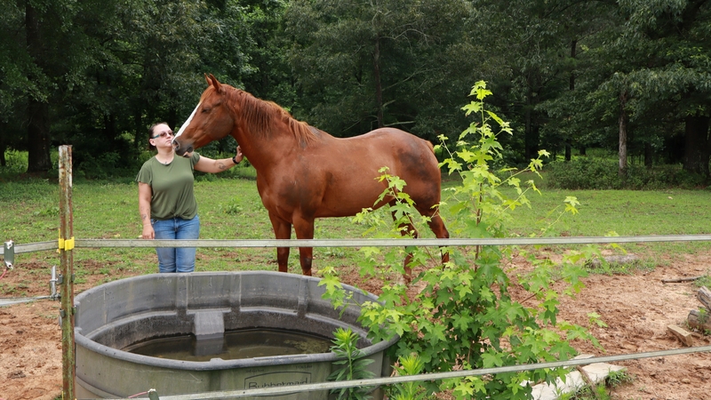 Sasha Cordle with one of her horses - tests show the spring water on her property is laced with 'forever chemicals'