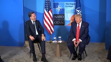 ‘Daddy has to sometimes use strong language’, Rutte says of US President