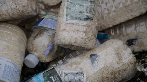 Activists often send bottles filled with rice, cash and sometimes USB sticks across the sea to North Korea (File image)