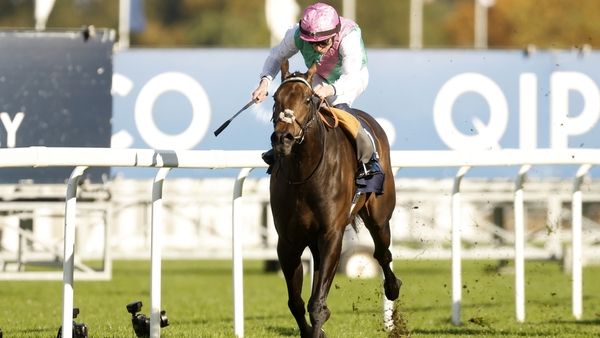 Kalpana finished second in the Pretty Polly Stakes at the Curragh last time out