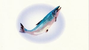 Animals show image