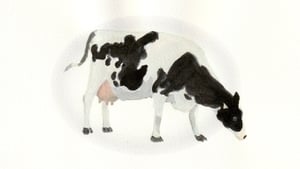 Animals show image