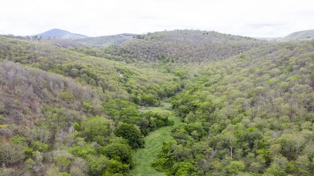 AIMORES, BRAZIL - NOVEMBER 22: Aerial view of the headquarter of the Instituto Terra at the beginning of the raining season, on November 22, 2019 in Aimorés, Brazil. Twenty years ago, this land was completely devastated, and now has been through a process of afforestation. Instituto Terra, founded i