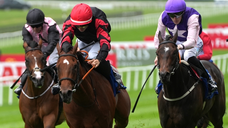 Vespertilio is likely to step up in class after ending a long losing run